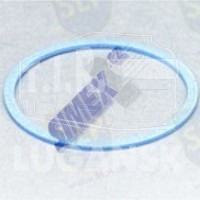 FREEZE PLUG GASKET