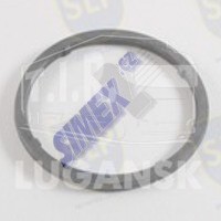 SEAL RING