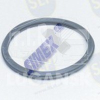 THERMOSTAT SEAL
