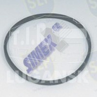 RUBBER SEAL