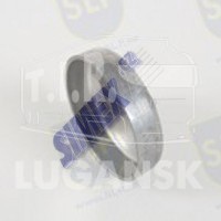 CAP PLUG