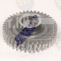 GEAR
