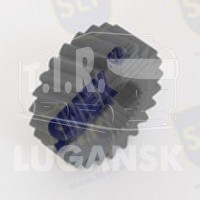 GEAR
