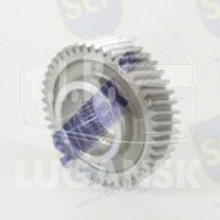 GEAR
