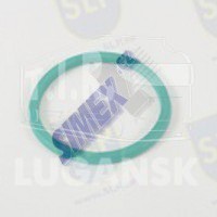 PISTON SEAL CLUTCH SERVO
