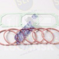 MANIFOLD GASKET SET