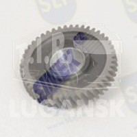 OIL PUMP GEAR