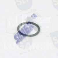O-RING