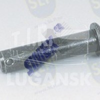 PIN