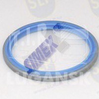 SEAL RING