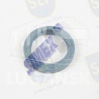 RADIAL SHAFT SEAL