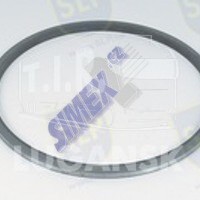 OIL SEAL