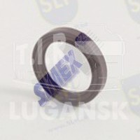 SEAL RING