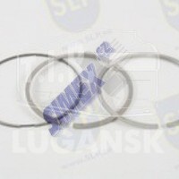 PISTON RING KIT