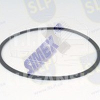 SEAL RING