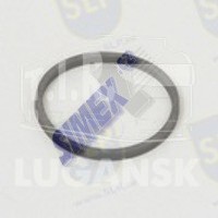 SEALING RING
