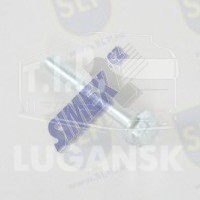 FLANGE SCREW