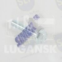 FLANGE SCREW