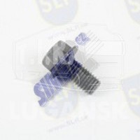 FLANGE SCREW