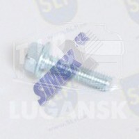 FLANGE SCREW