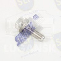 FLANGE SCREW