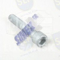 SCREW