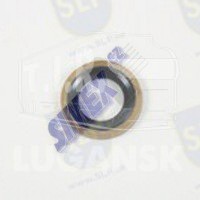 SEAL RING