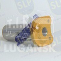 PIN