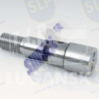PIN