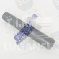 PIN