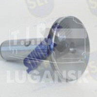 PIN