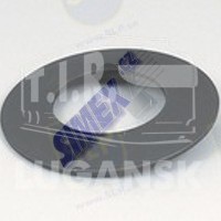 DISC SPRING