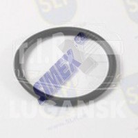SEAL RING