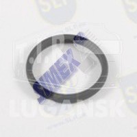 SEAL RING