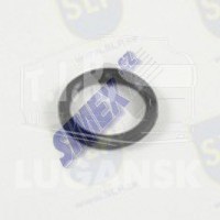 SEAL RING