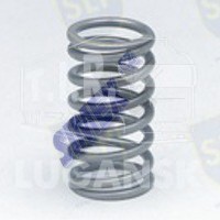 VALVE SPRING