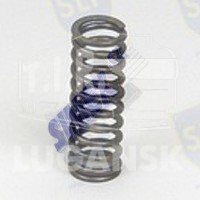 VALVE SPRING