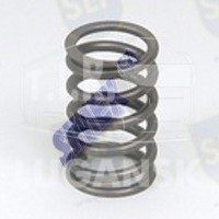 VALVE SPRING