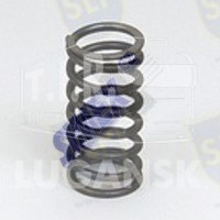 VALVE SPRING