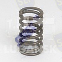 VALVE SPRING