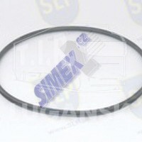 SEALING RING